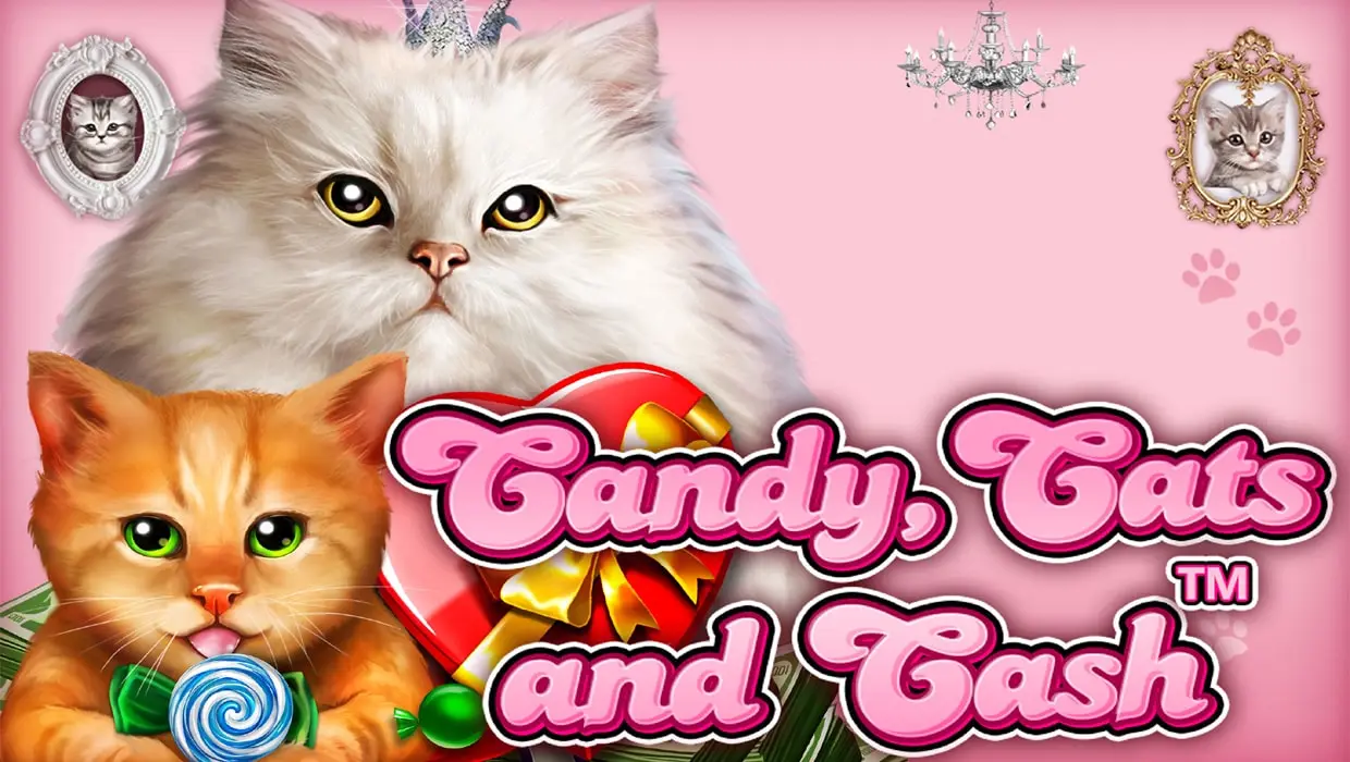 Candy, Cats and Cash
